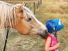 Horses