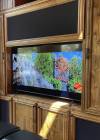 Living Room TV